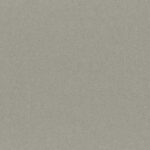 Gull Gray 00