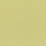 Leek Green 31