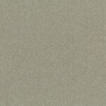 Elephant Skin 32