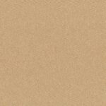 Indian Tan 16