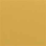 Bamboo 601