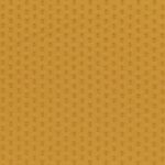 Honey Gold 60