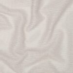 Oyster Mushroom 29