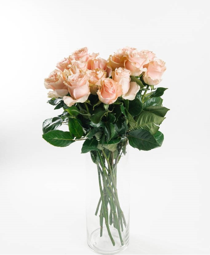 Täna on ilus päev! (Today is a beautiful day!) 47.-€