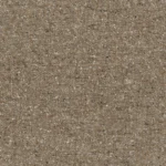 Almond 07